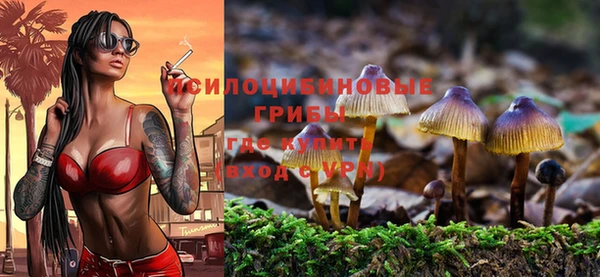 дурь Навашино