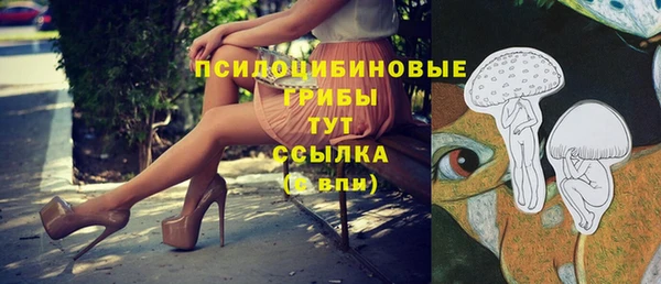 метадон Надым