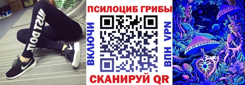 Псилоцибиновые грибы прущие грибы  гидра зеркало  Урюпинск 